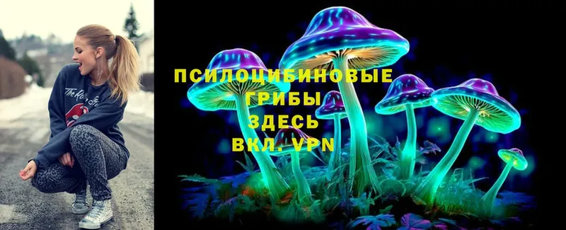 Галлюциногенные грибы Psilocybe  сколько стоит  Краснослободск 